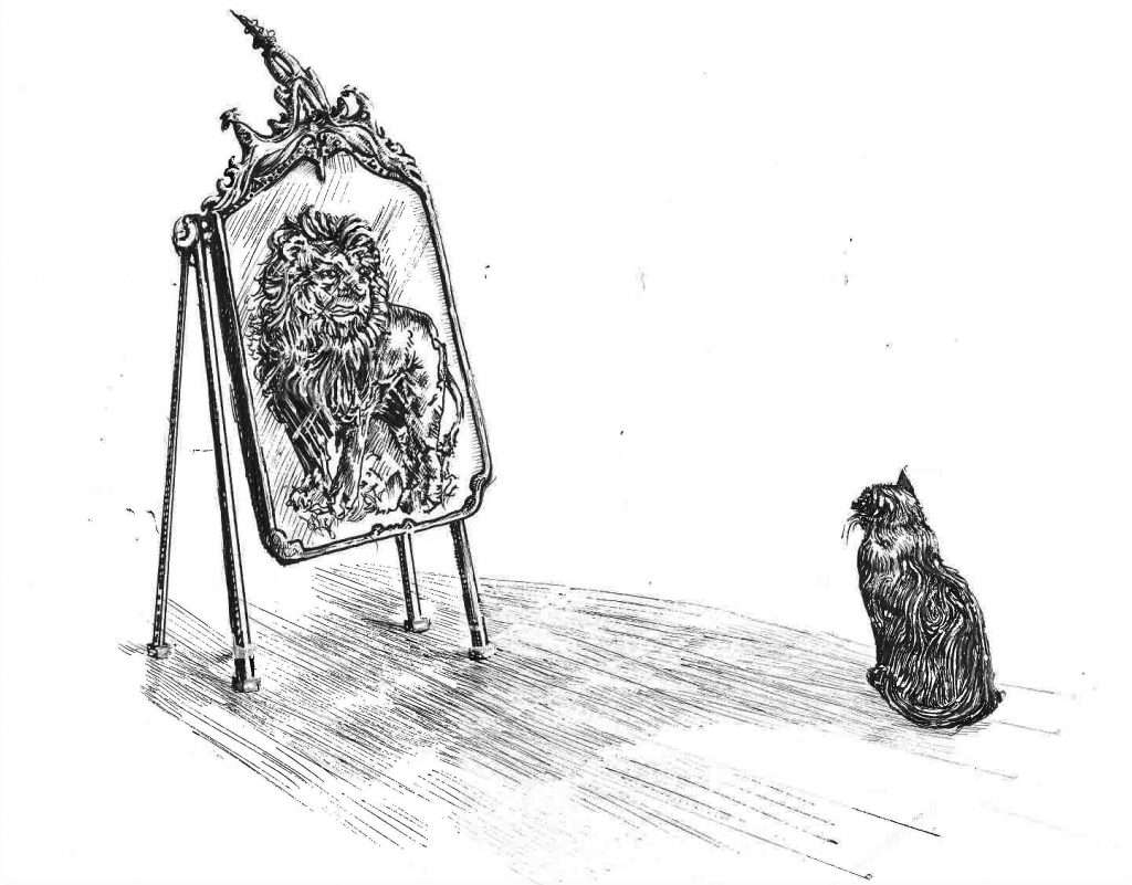 Katze, die vor einem Spiegel sitzt und darin einen Löwen sieht